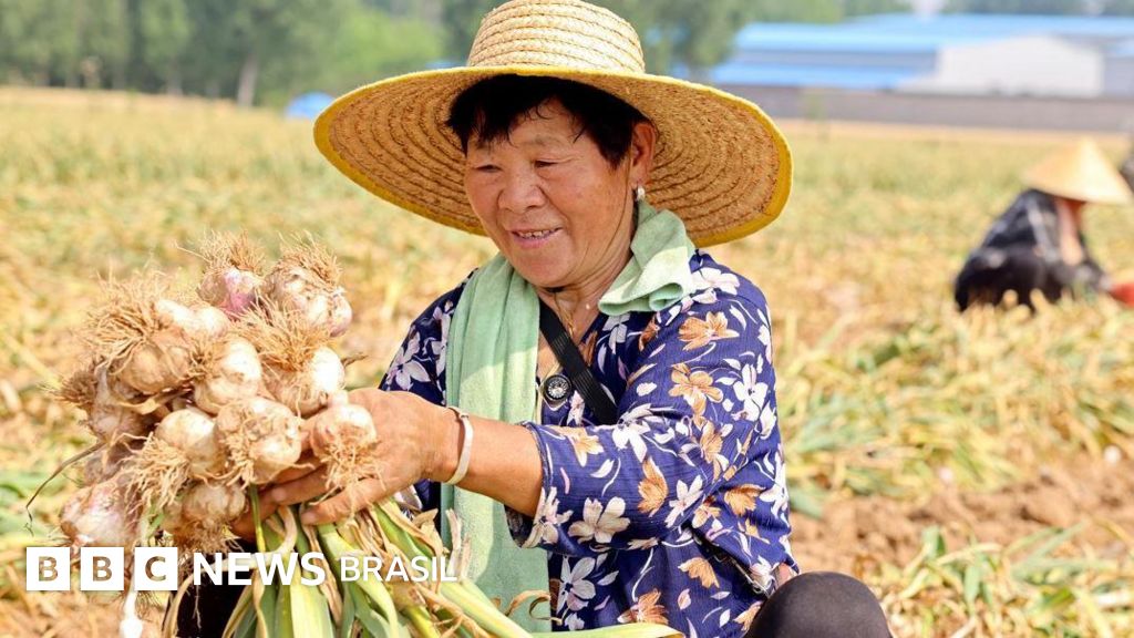 A fascinante história do alho (e quais são suas propriedades medicinais)