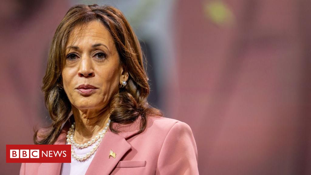 Os pontos fortes e fracos de Kamala Harris como candidata democrata