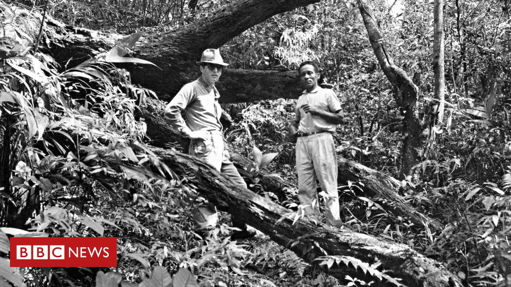 A estrada aberta por fundadores de SP para vencer paredão da Serra do Mar