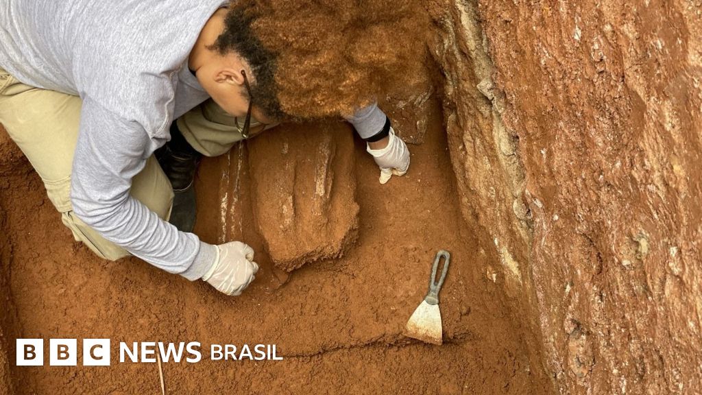 A descoberta arqueológica que revela violência escravocrata em bairro japonês de SP
