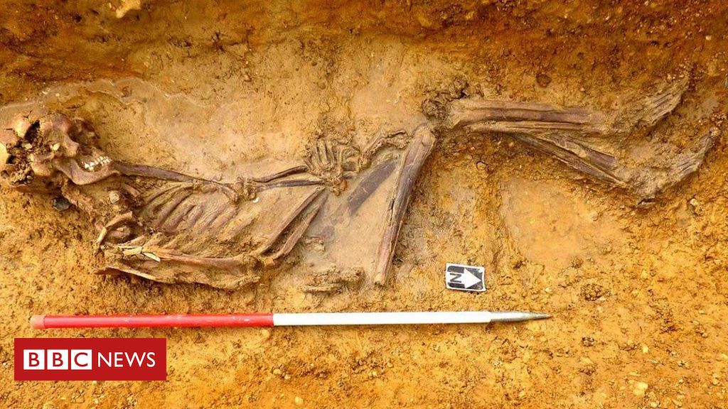Arqueología: el misterio de los huesos de 2.000 años resuelto por detectives de ADN
