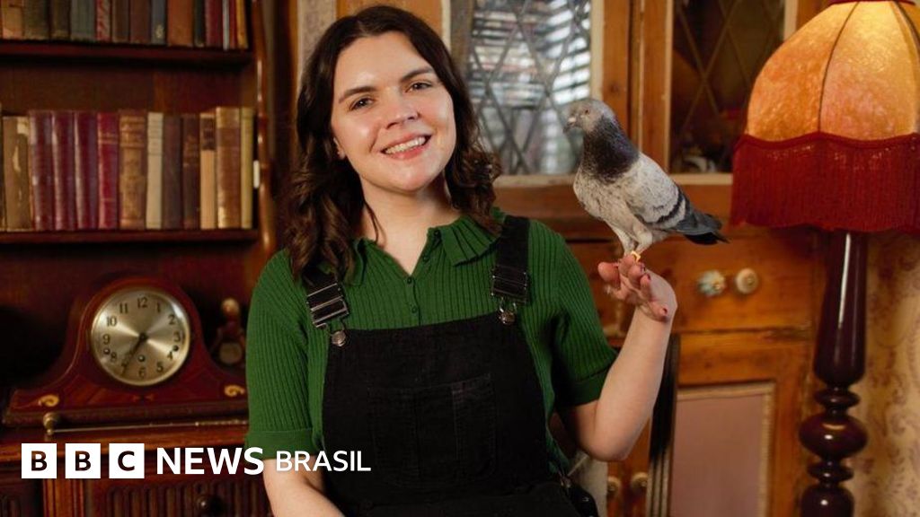 'Relações Públicas das pombas': a mulher que luta para melhorar a imagem da ave