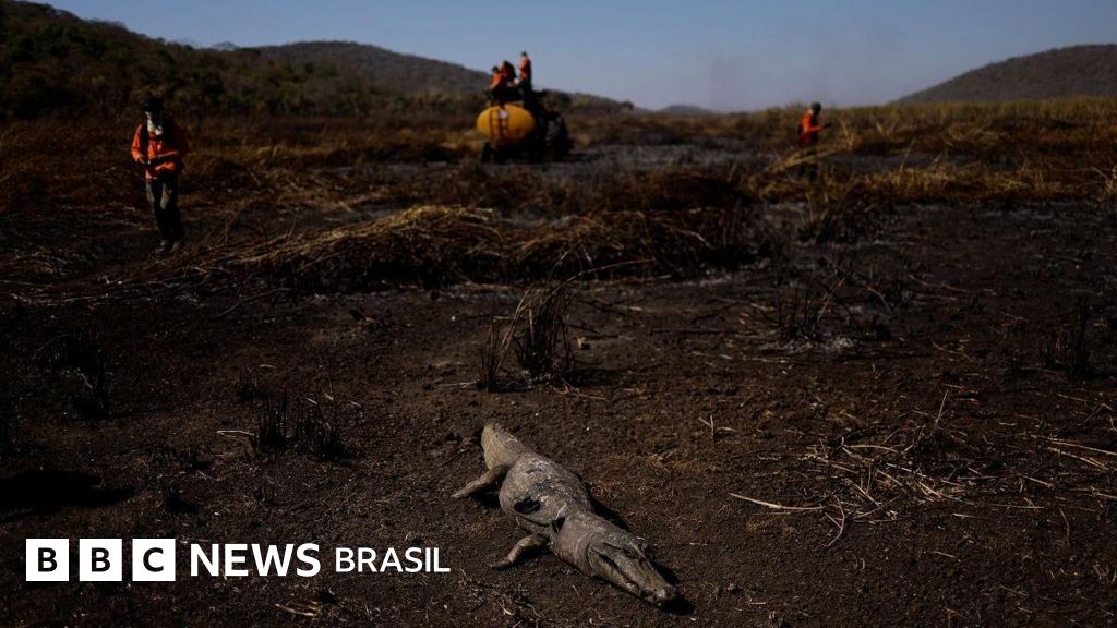 Incêndios batem recorde no Pantanal: dava para prever seca que alastra fogo pela região?