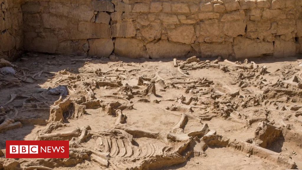 Novas descobertas de arqueólogos: o Cavalo de Troia existiu? 