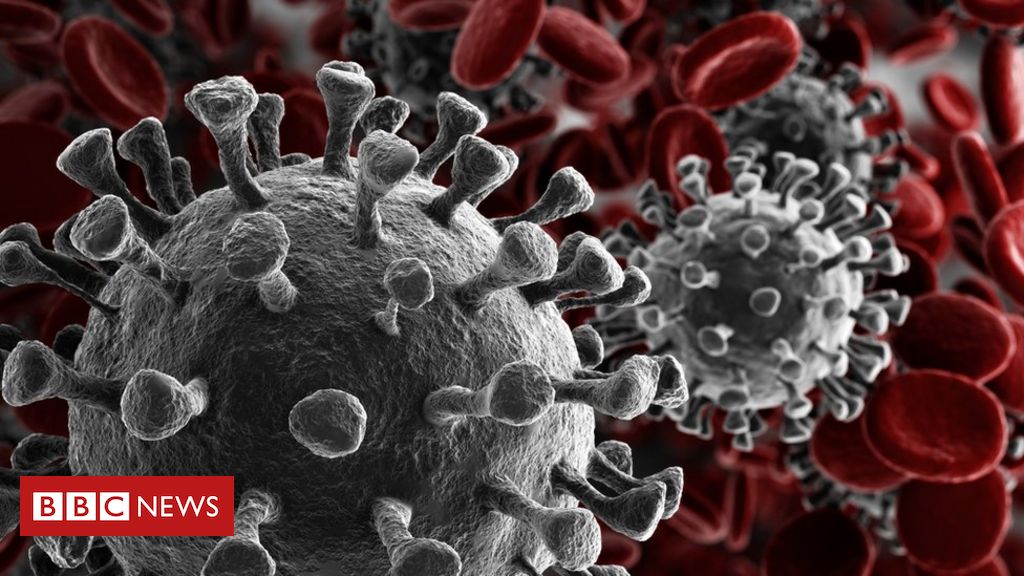 Coronavirus (COVID-19), OMS