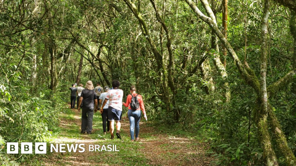 O caminho indígena ancestral cujo traçado original é alvo de disputas no Brasil