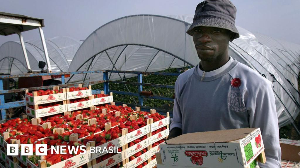 'Políticos, mesmo de direita, sabem que imigrantes ajudam a economia e que a Europa precisa deles'