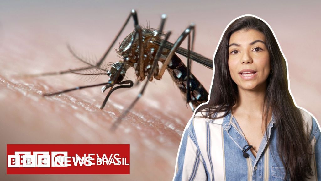 Dengue: quais os sintomas, quando é hora de ir ao PS e quem pode se vacinar no SUS?