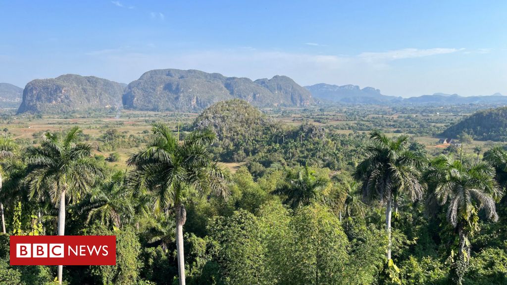 Como mudanças climáticas ameaçam produção de charutos em Cuba