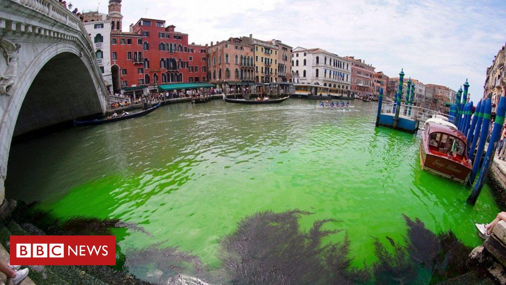 Mancha verde fluorescente em canal intriga Veneza