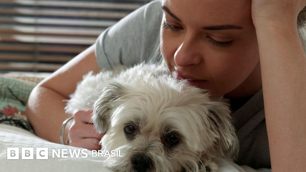 Estamos prolongando demais a vida dos nossos pets?