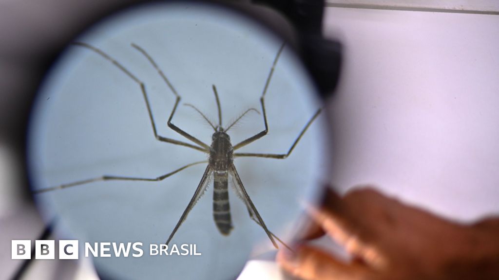 Vacina do Butantan contra a dengue é suspensa; ent