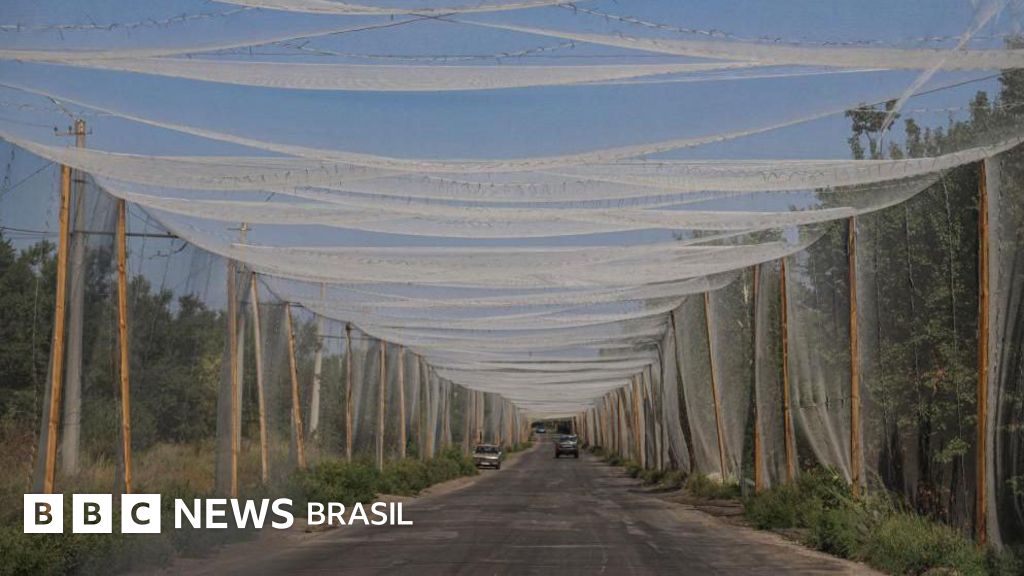 Por que 'cinturão blindado' de Donetsk é tão importante para a defesa da Ucrânia