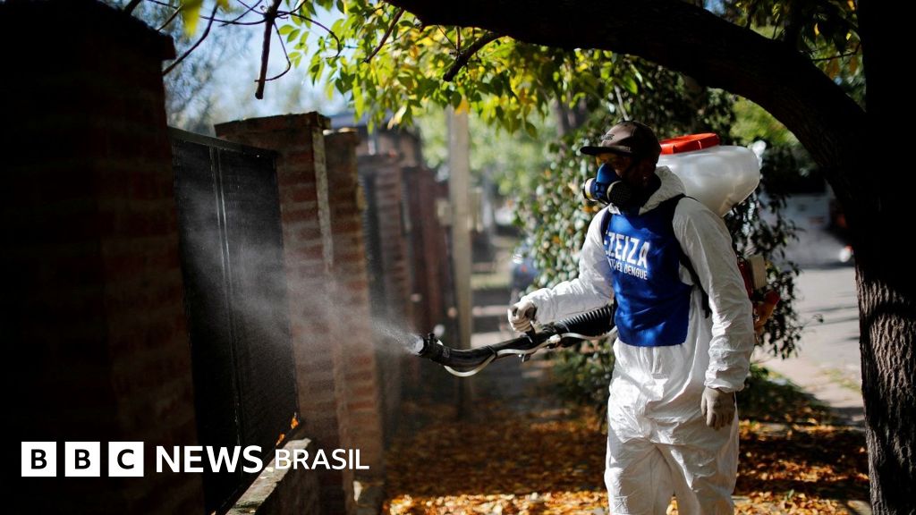 Por que casos de dengue estão se multiplicando na Europa