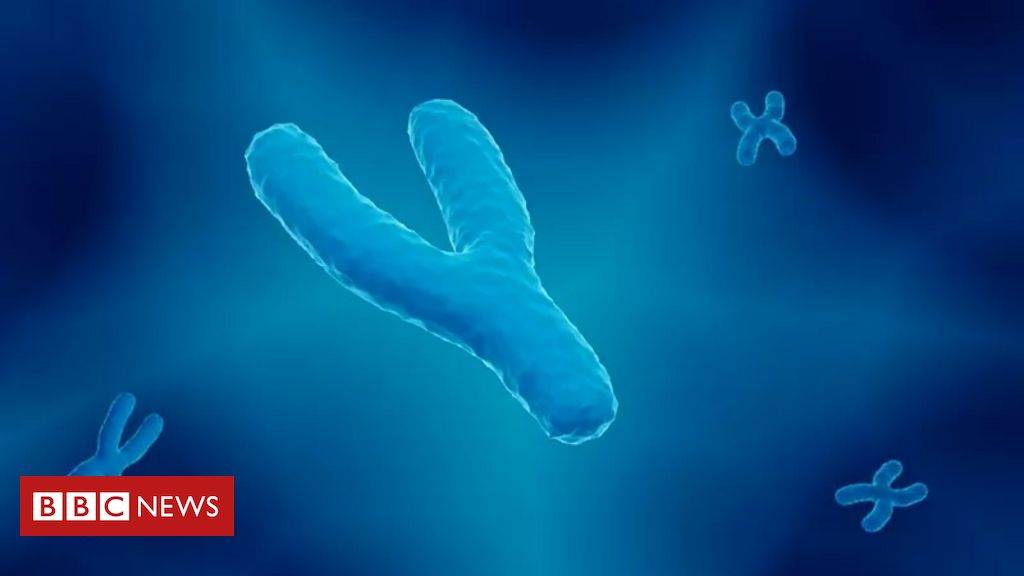 O que primeiro sequenciamento completo do 'estranho' cromossomo Y revela sobre genética dos homens