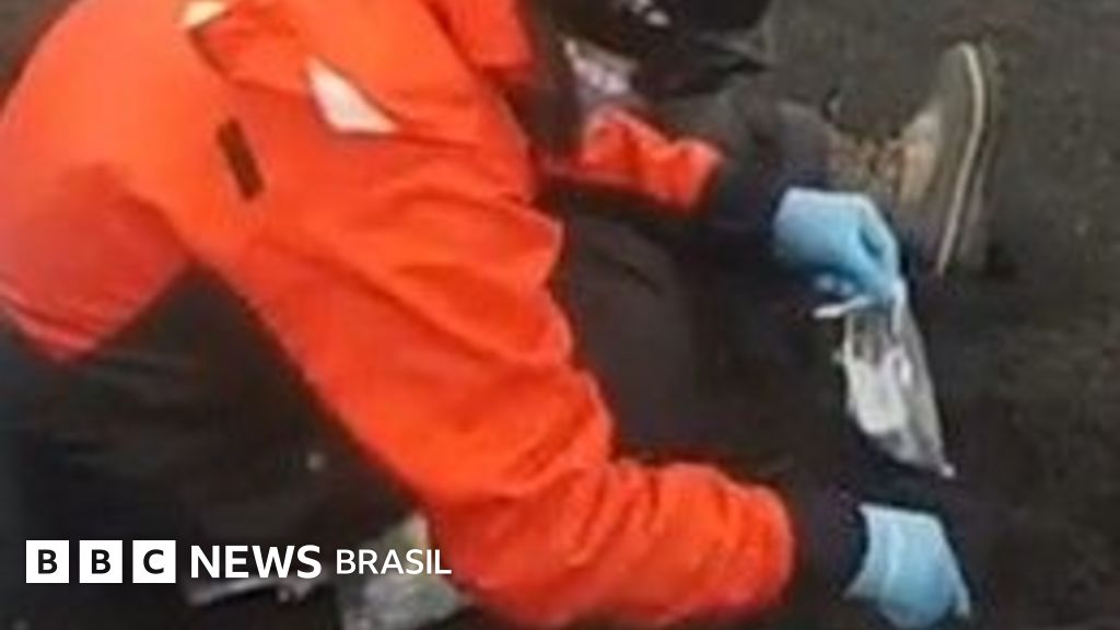 Brasileiras descobrem nova espécie de ser vivo em lugar surpreendente — e o que isso tem a ver com ETs