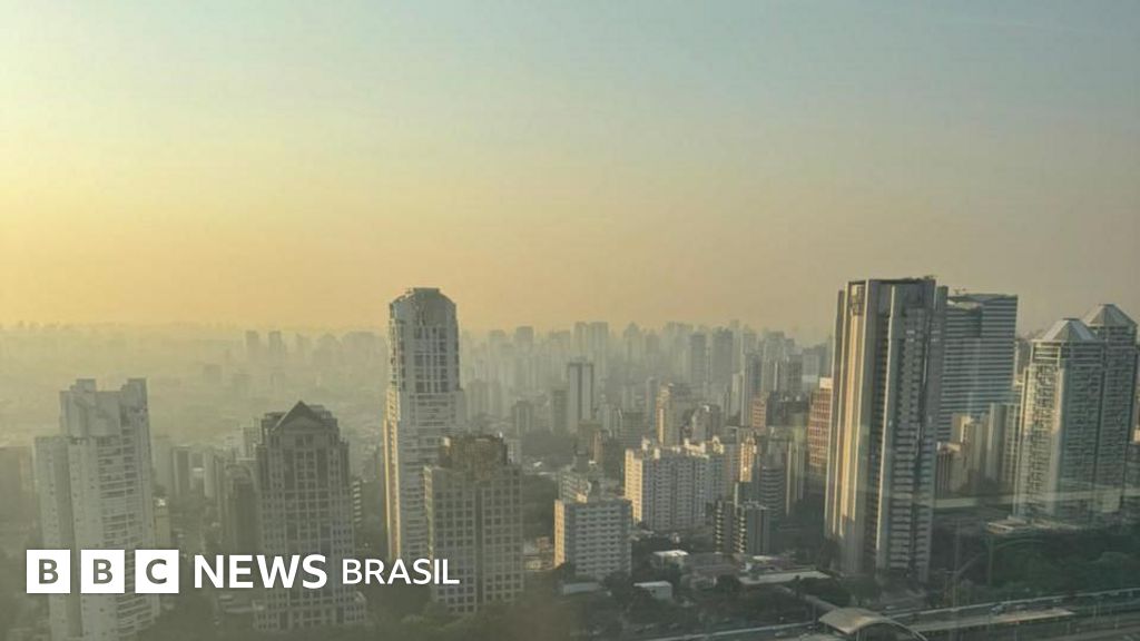 'Em Paris, carros já estariam proibidos no centro', diz pesquisador sobre ar poluído em cidades brasileiras