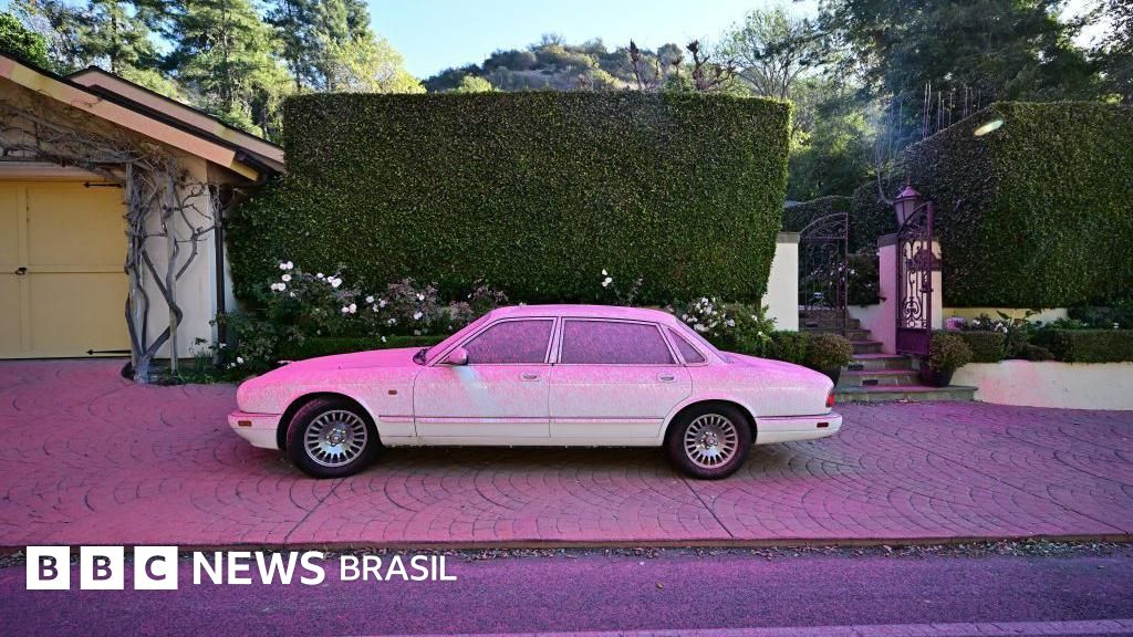 O que é o pó rosa usado em Los Angeles para combater os incêndios