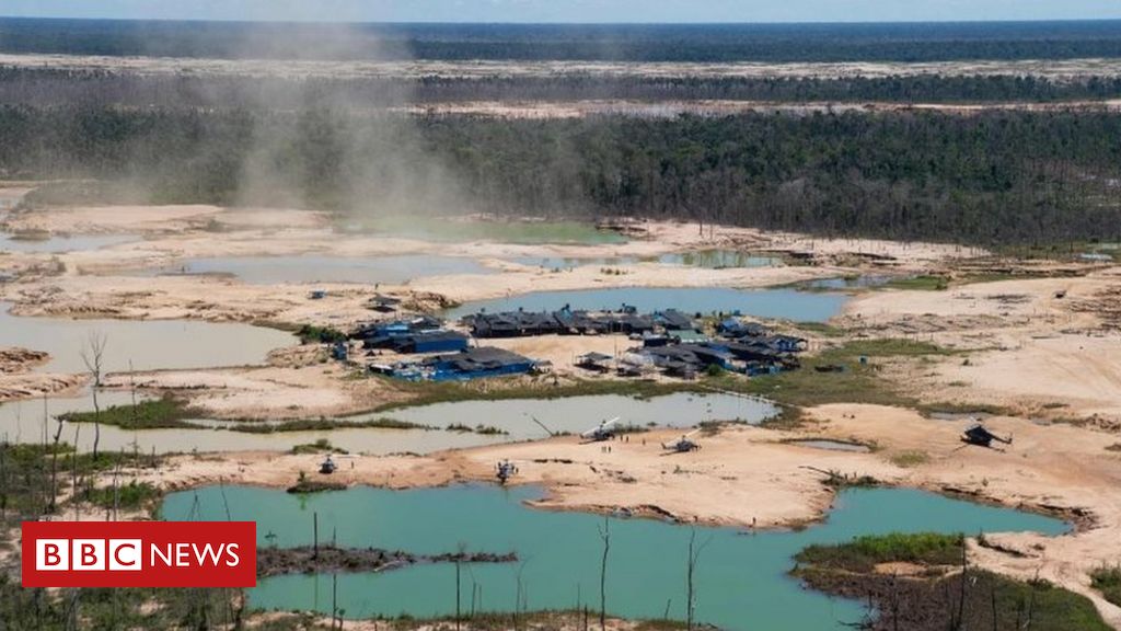 Dia Mundial do Meio Ambiente: 68% das áreas de proteção e indígenas da Amazônia estão ameaçadas, diz estudo