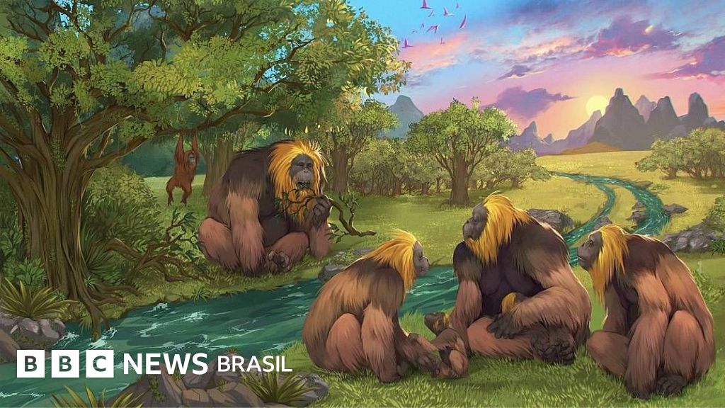 Por que foi extinto o maior símio que já existiu