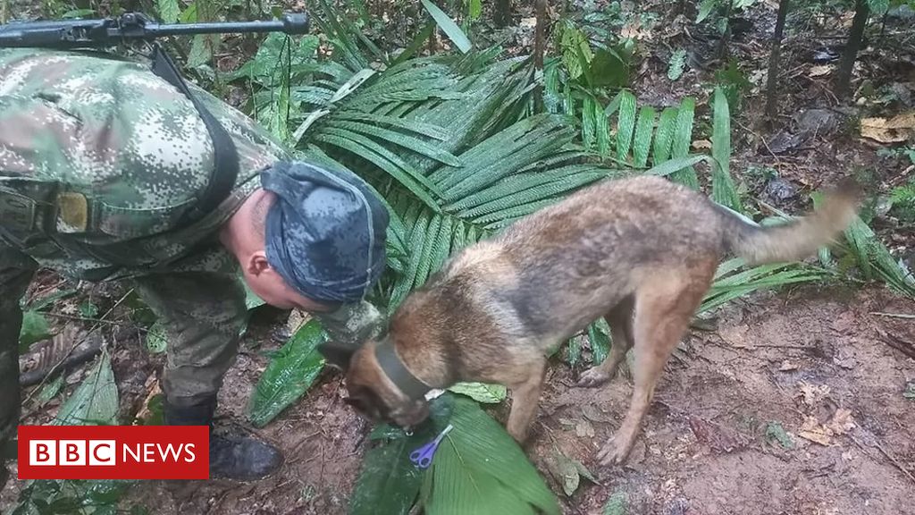 Treinado na selva, Bruno Pereira superou desconfiança e ganhou