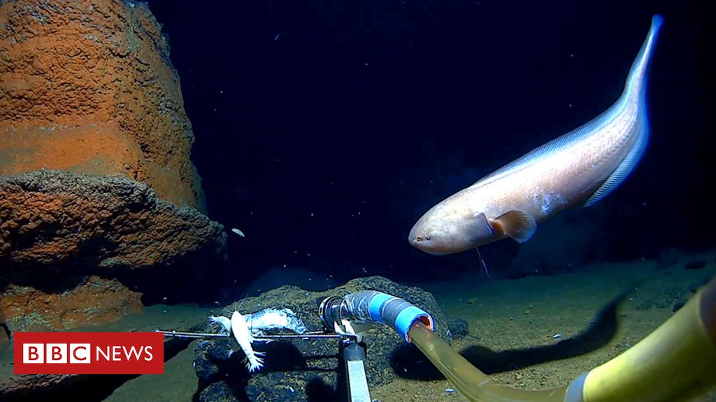 Fossas oceânicas: profundidade ao extremo