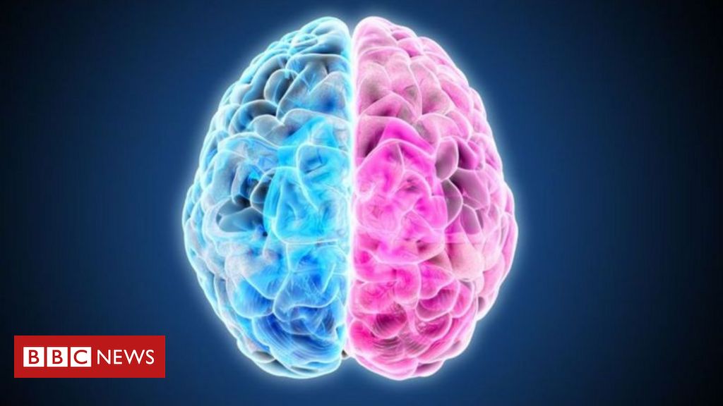 Myths and misconceptions about the hemispheres of the brain