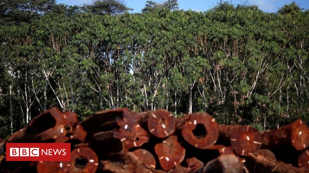 Mudança climática: a aviação pode se tornar sustentável um dia? - BBC News  Brasil