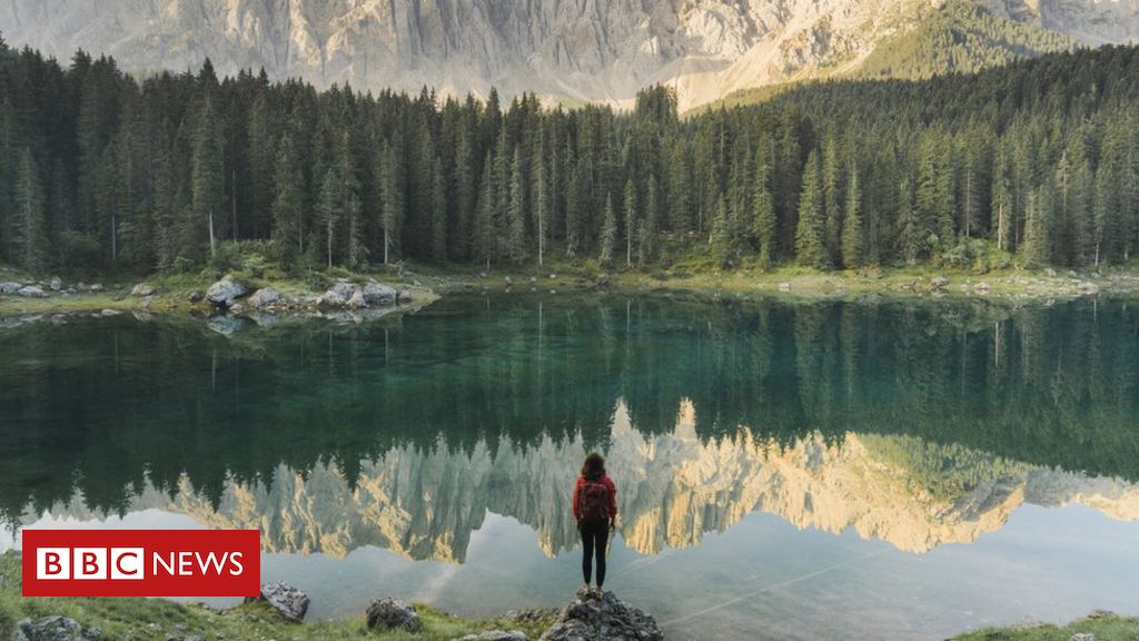 Comment l’Europe a multiplié ses forêts (et pourquoi cela pourrait être un problème)
