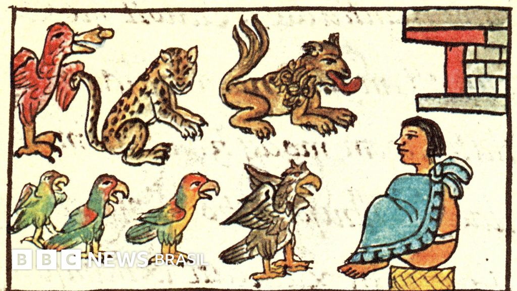 O zoológico de Moctezuma que surpreendeu os espanhóis há 500 anos — e que só agora começamos a entender