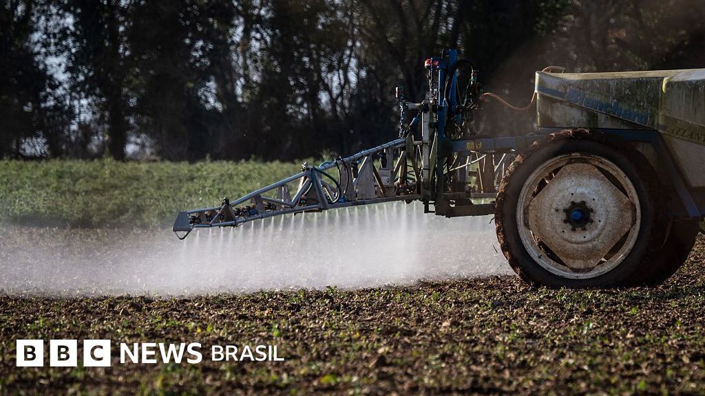 Por que estudo citado por 25 anos para defender agrotóxico mais usado no Brasil foi invalidado