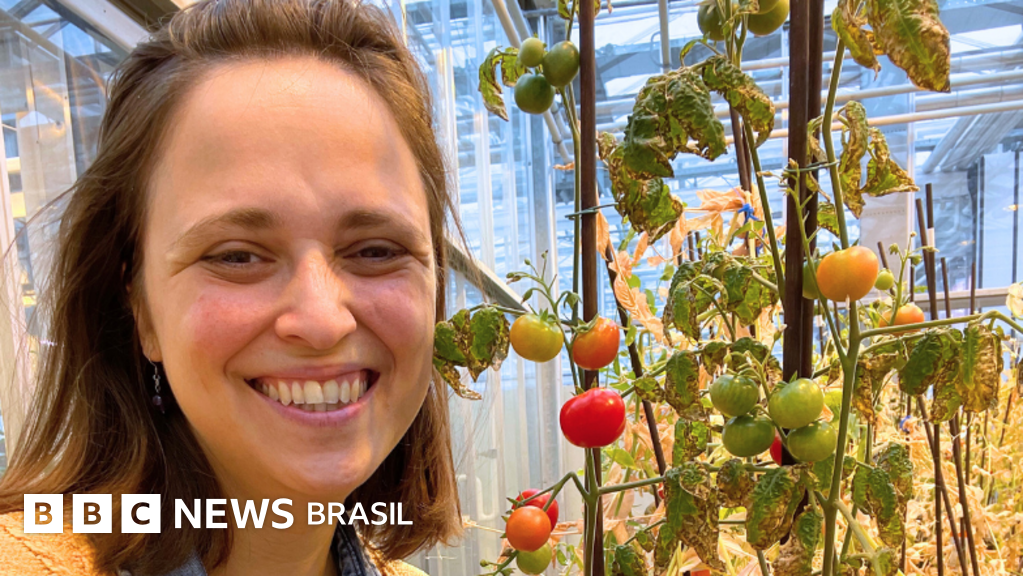 Tomates marcianos? Brasileira usa técnica maia para criar plantações em Marte
