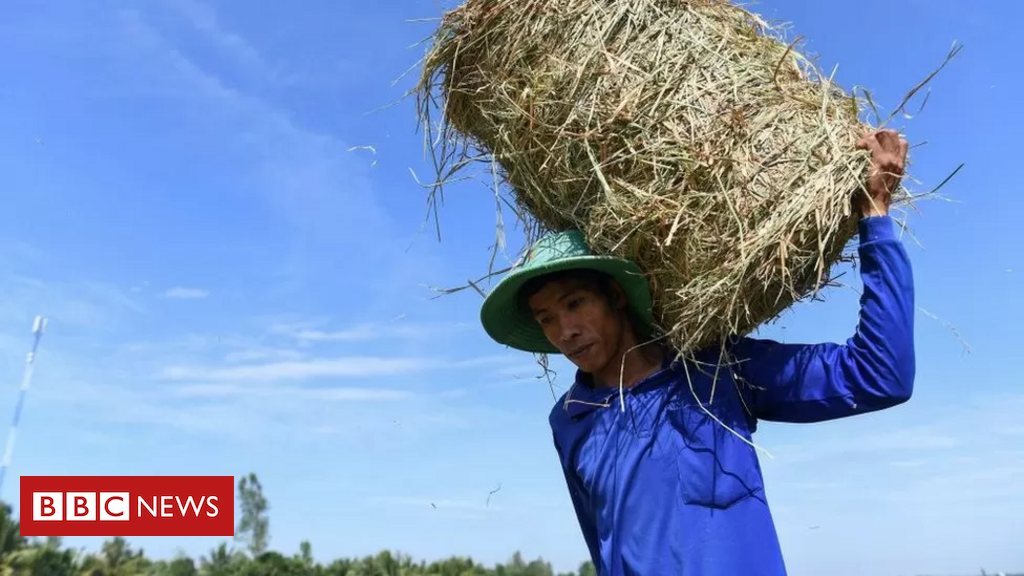 Vietnã registra 44°C, maior temperatura da história do país - BBC News  Brasil