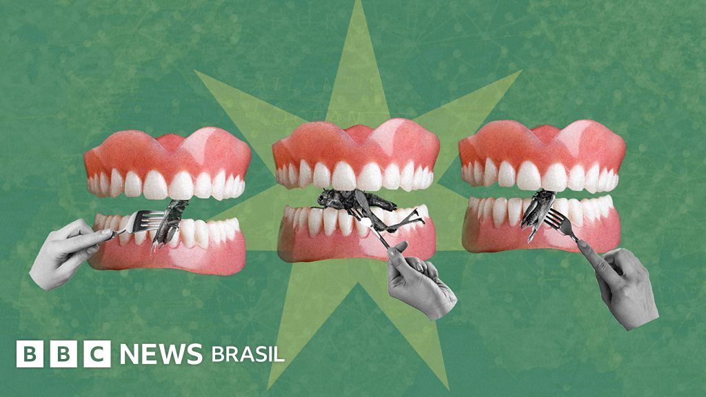 Como comer insetos se tornou uma teoria da conspiração