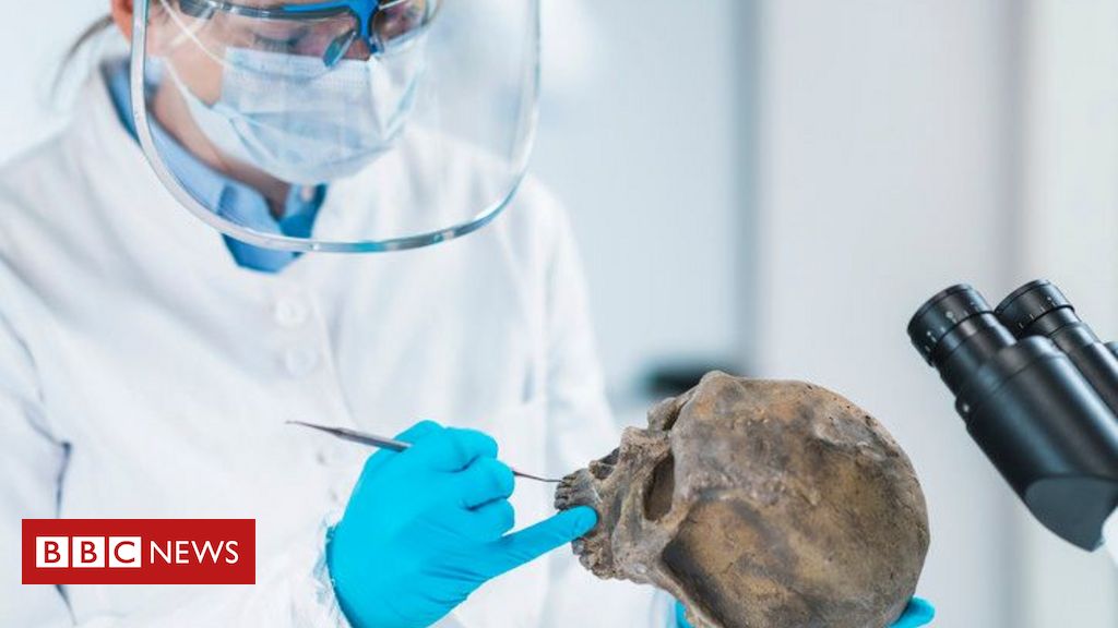 Como sexo com neandertais pode ter ajudado a salvar a humanidade