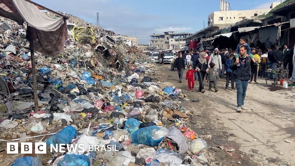 'Os ratos estão saindo das tendas': Gaza tem acampamentos infestados de roedores