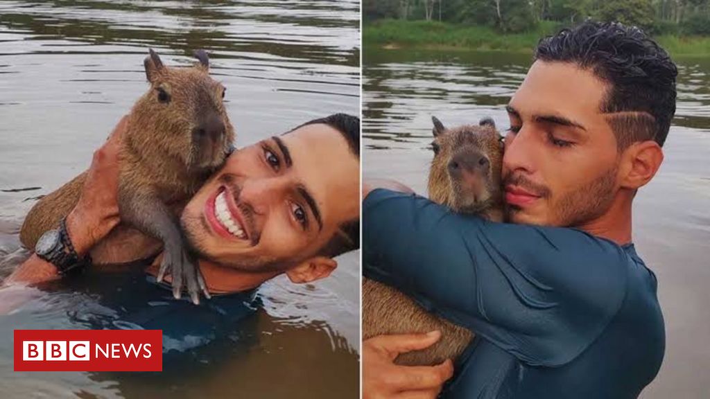 Capivara Filó acende debate de criação de animal silvestre - 06/05