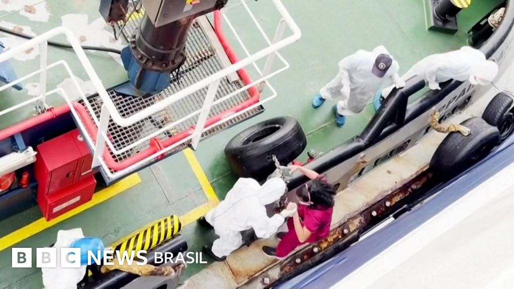 Hantavírus pode ter se espalhado entre passageiros no navio em que 3 já morreram, diz OMS