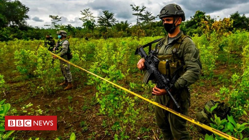 Como Colômbia Produz Mais Cocaína Apesar De Redução Da área De Cultivo Bbc News Brasil 8905