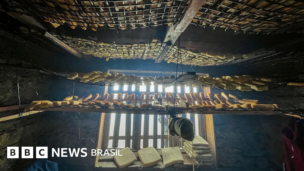Os segredos do queijo mais duro do mundo, que pode ser consumido após 20 anos