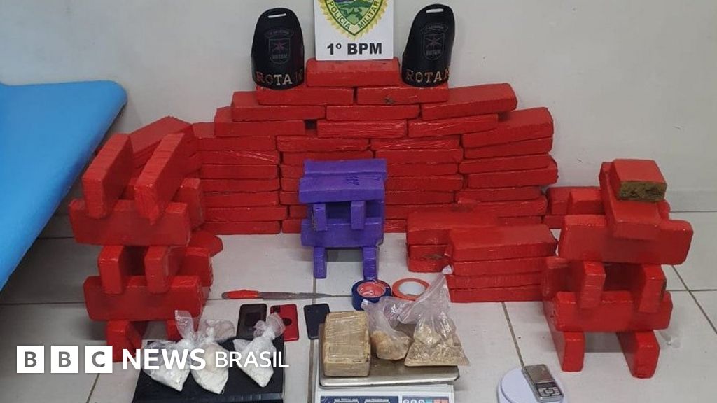 Caranguejo de maconha e dominó de cocaína: a curiosa coleção de fotos de apreensão de drogas no Brasil