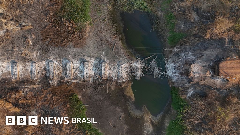 O que são as secas-relâmpago e como cientistas querem prevê-las