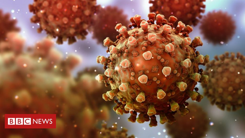 Imunidade celular é essencial para evitar reinfecção pelo novo