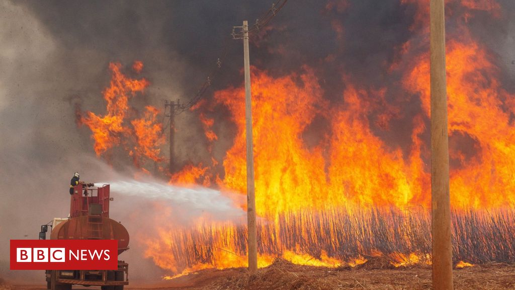 Por que governos suspeitam que incêndios em SP são criminosos?