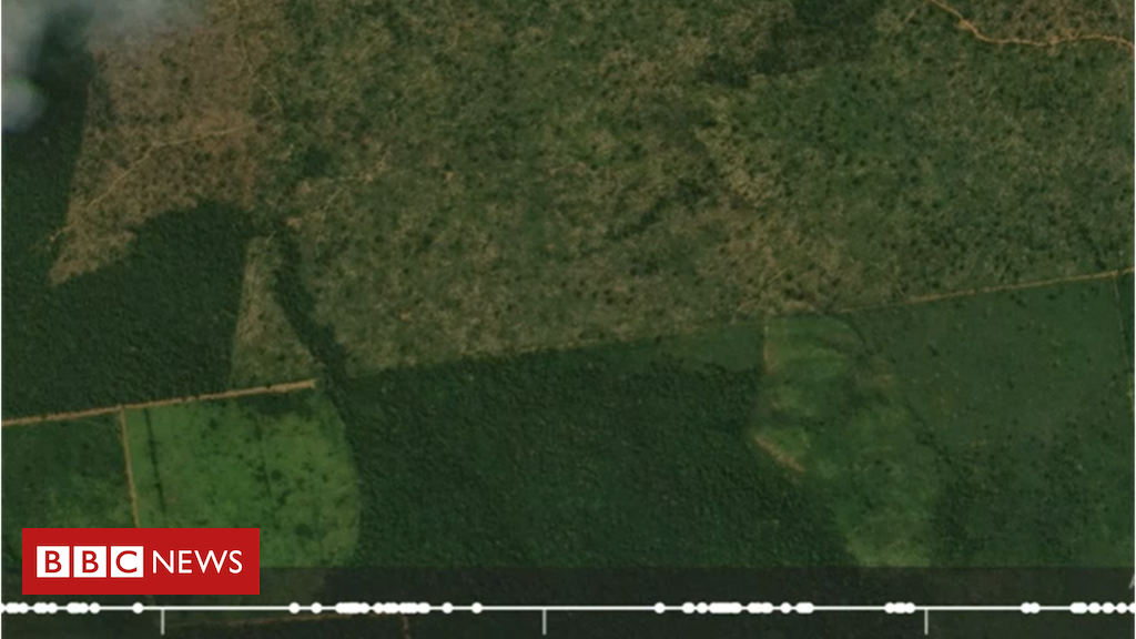 Imagens Aceleradas De Satélite Mostram 3 Anos De Desmatamento Em Trecho Da Amazônia Bbc News 