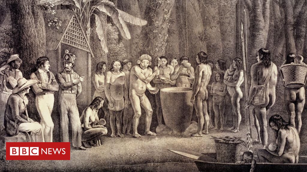 Spix und Martius: Entführung einheimischer Kinder durch deutsche Wissenschaftler auf einer Expedition durch Brasilien im 19. Jahrhundert