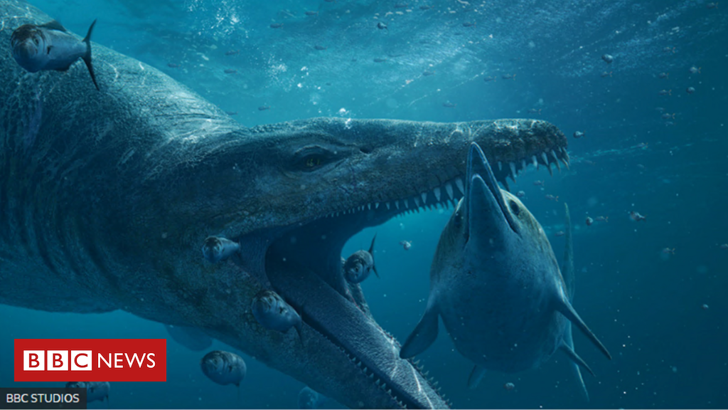 O 'monstro marinho' gigantesco cujo crânio fossilizado foi encontrado no Reino Unido