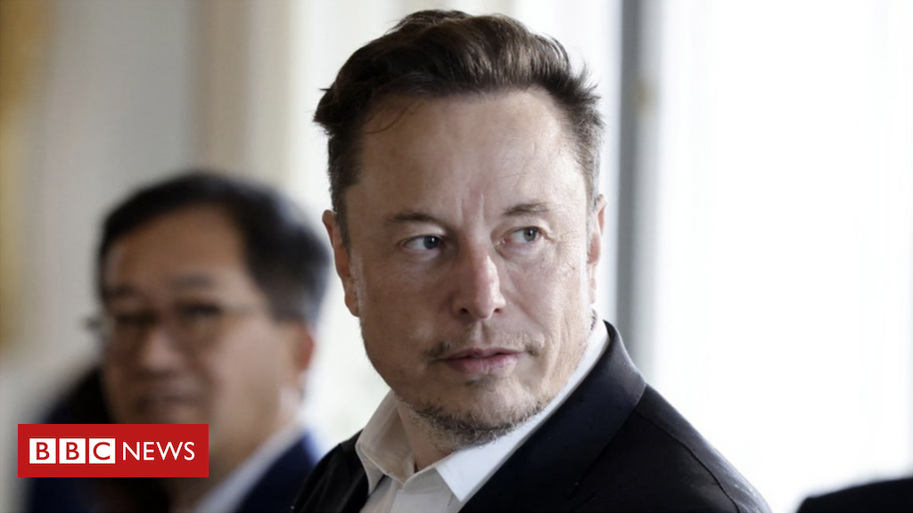 As declarações enganosas ou falsas compartilhadas no Twitter por Elon Musk