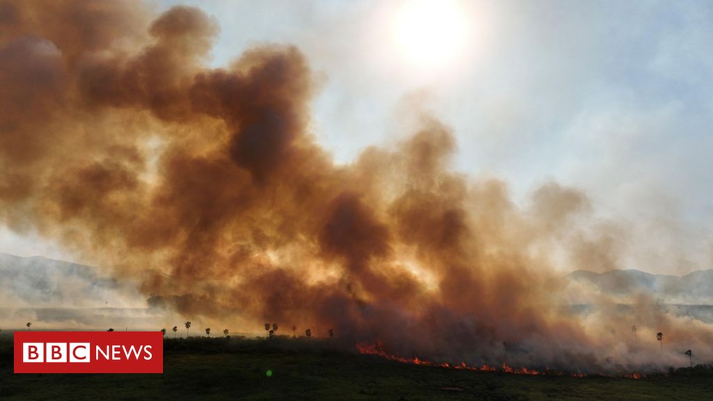 'Fogo chegou antes da hora. É assustador': a luta para enfrentar incêndios no Pantanal