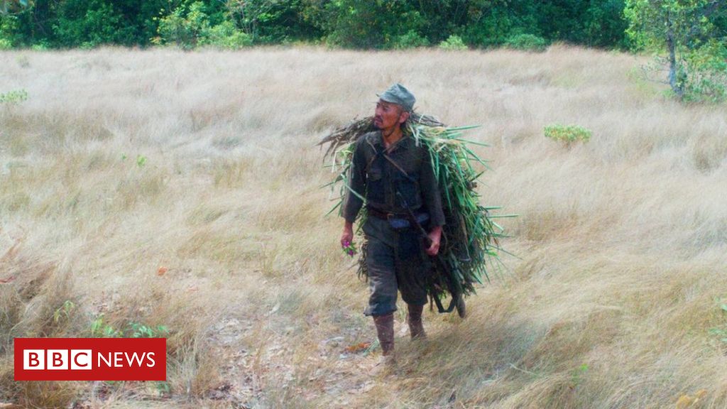 A incrível história do japonês escondido na selva por 30 anos sem saber do fim da 2ª Guerra - BBC News Brasil